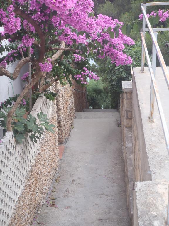 Apartments Villa Stari Koko Omiš Екстериор снимка